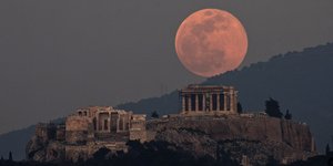 ροζ πανσεληνος