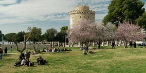αμυγδαλιες λεφκος πυργος