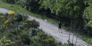 ΟΤΑ: Εκτενής αναδάσωση στον δήμο Βάρης-Βούλας-Βουλιαγμένης