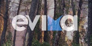 Εύβοια: Μεγάλη φωτιά στη θέση Γεραντώνη Κουρκουλών 