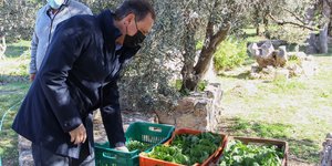 Σπήλιος Λιβανός καφασια