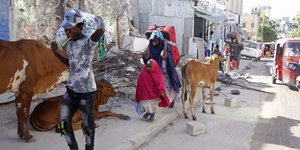 ζωα ανθρωποι σομαλια 