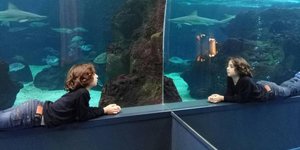 Αυτιστικό παιδί σε ενυδρείο