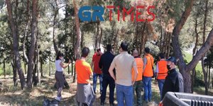 αγριογούρουνο