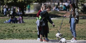 απαγόρευση κυκλοφορίας κοπέλες με σκύλους