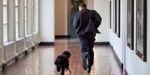 Το ζεύγος Μπαράκ και Μισέλ Ομπάμα αποχαιρέτησε τον σκύλο Μπο