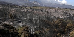 φωτιά καμμένη έκταση
