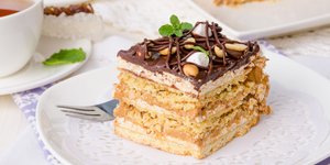 Μπισκοτογλυκό ψυγείου