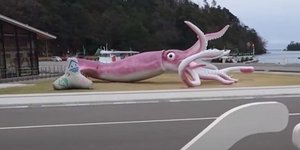 Το ροζ γιγαντιαίο καλαμάρι