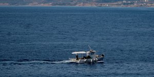 Ψαρότρατα μεσοπέλαγα