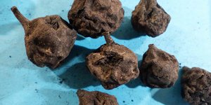 Θεσσαλονίκη: Ένα ποτηράκι κρασί από τα ...νεολιθικά χρόνια και πλιγούρι 4000 ετών!	