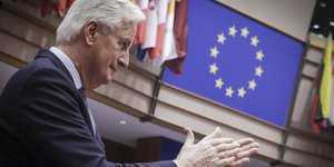 Μισελ Μπαρνιέ προφιλ