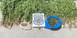 Θεσσαλονίκη 17χρονος καλλιεργούσε κάνναβη κοντά στο σπίτι του