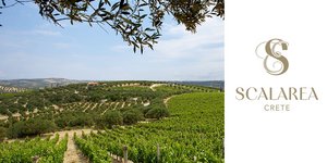 Το οινοποιείο Μπουτάρη στο Κτήμα Scalarea