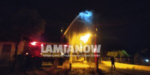 Λαμία πυροσβεστική φωτιά σε κολόνα ΔΕΗ