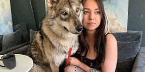Κατοικίδιο έναν λύκο; Κι όμως, μια Ρωσίδα το τόλμησε