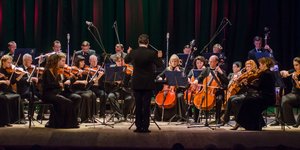 μαεστρος πλατη 