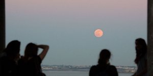 Φεγγάρι της φράουλας