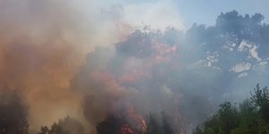 Η φωτιά στην Λευκίμη Εβρου