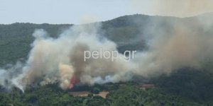 Φωτιά στην Δροσιά Αχαΐας