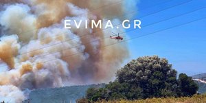 Φωτιά στην Εύβοια, σηκώθηκε ελικόπτερο για την κατάσβεσή της