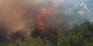 Φωτιά στον Εβρο