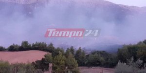 Η φωτιά που καίει στη Δροσιά Αχαΐας