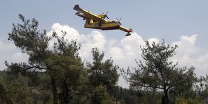 Φωτιά σε δασική έκταση