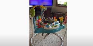 Γάτα παίζει με βρεφικό παιχνίδι 