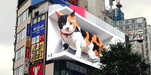 Η υπερ-ρεαλιστική γάτα σε πινακίδα στο Τόκιο 