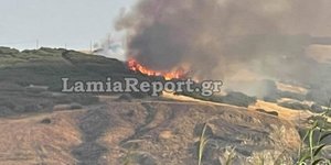Συναγερμός το πρωί του Σαββάτου 31.7 από πυρκαγιά στη Λαμία