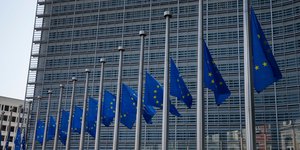 μεσίστιες σημαίες εε