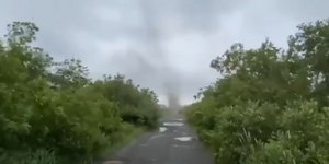 Σμήνη από κουνούπια δημιούργησαν ανεμοστρόβιλους στη Ρωσία 