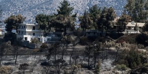 σπιτια αναμεσα σε καμμενα