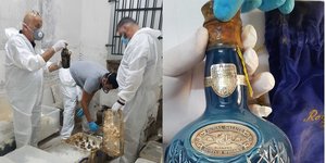 Σπάνιοι θησαυροί στο Τατόι / Φωτογρφία: ΑΠΕ 