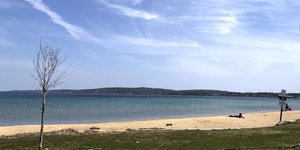 ξερο δεντρο θαλασσα 