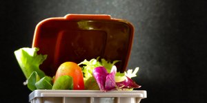 Τρόφιμα στα σκουπίδια