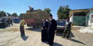 ενίσχυση Χαλκίδας