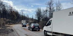 Καθαρισμός των καμμένων στην Εύβοια