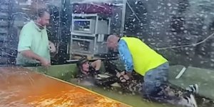 Ανδρας ανέβηε πάνω στην πλάτη αλιγάτορα για να σώσει γυναίκα, εργαζόμενη σε ζωολογικό κήπο