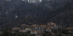 ΔΕΔΔΗΕ Καταστροφές στην Εύβοια από τη φωτιά