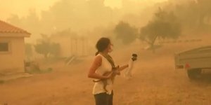 μικρό γατί σε αγκαλιά δημοσιογράφου ΕΡΤ