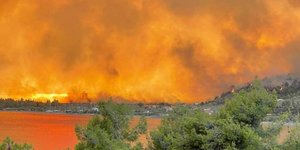 Εύβοια φωτιά