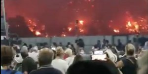 Το φέρι μποτ της διαφυγής από τις φωτιές στη λίμνη Ευβοίας