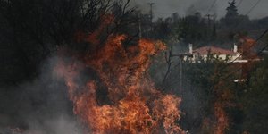 Φωτιά στο Κρυονέρι Αττικής
