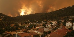 Φωτιά στην Εύβοια γούβες