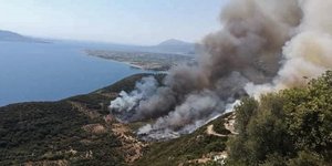 Φωτιά στη Φωκίδα