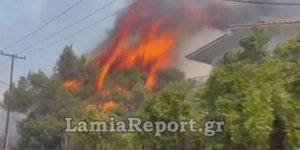Φωτιά καίει ανεξέλεγκτα στον Θεολόγο Φθιώτιδας