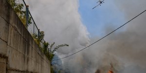 φωτιά, καταστροφές στη Μεμούτα Ηλείας