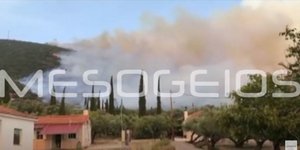 Φωτιά στην περιοχή Μέλπεια Μεσσηνίας